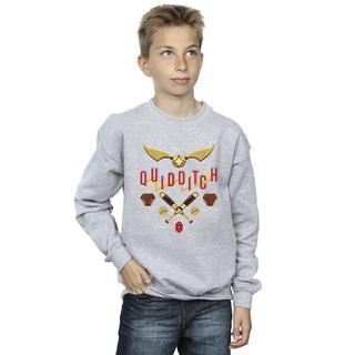 Harry Potter  Quidditch Golden Snitch Sweatshirt 