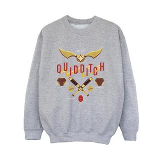 Harry Potter  Quidditch Golden Snitch Sweatshirt 