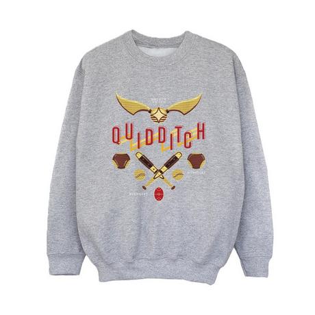 Harry Potter  Quidditch Golden Snitch Sweatshirt 