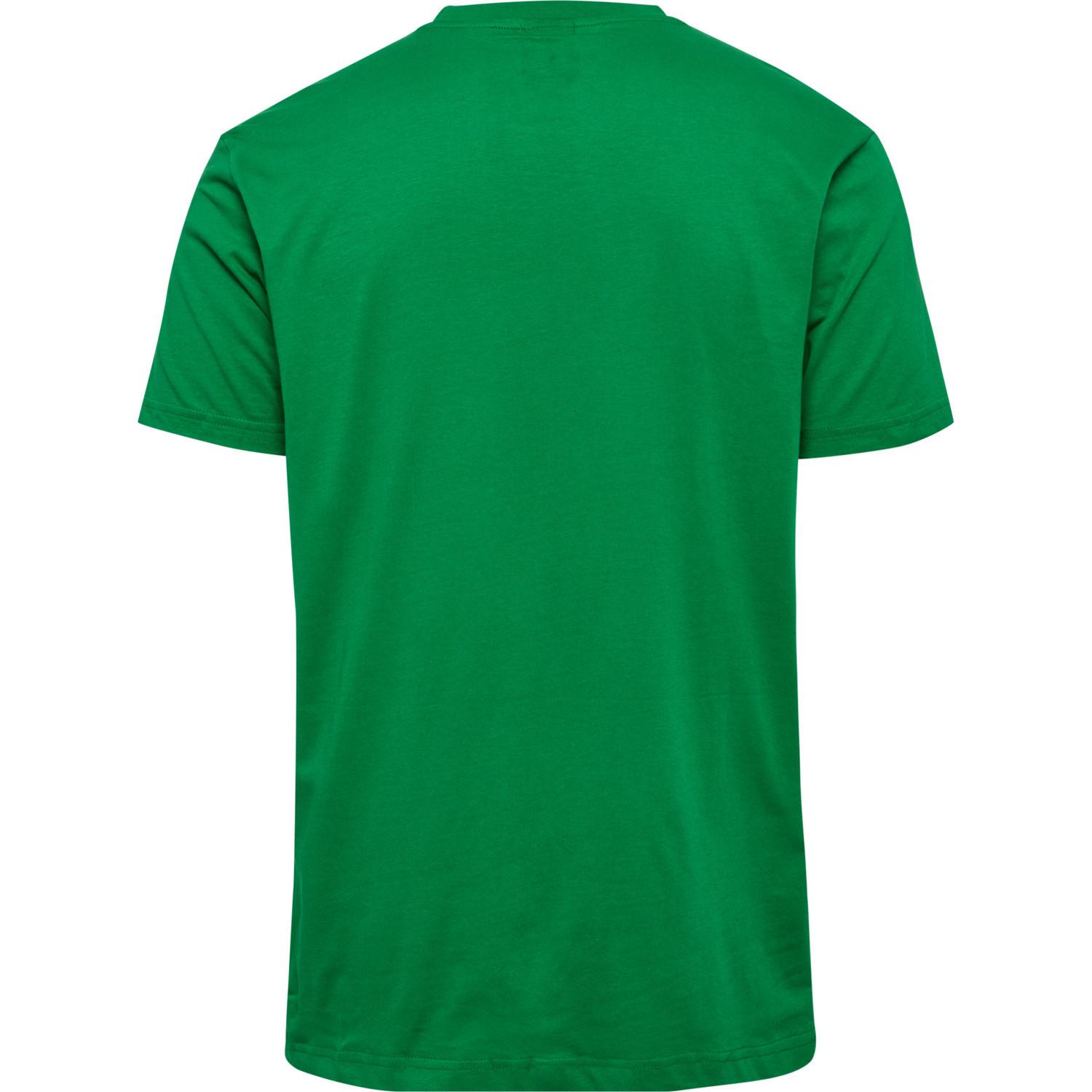 Hummel  t-hirt ae fan allez le vert 