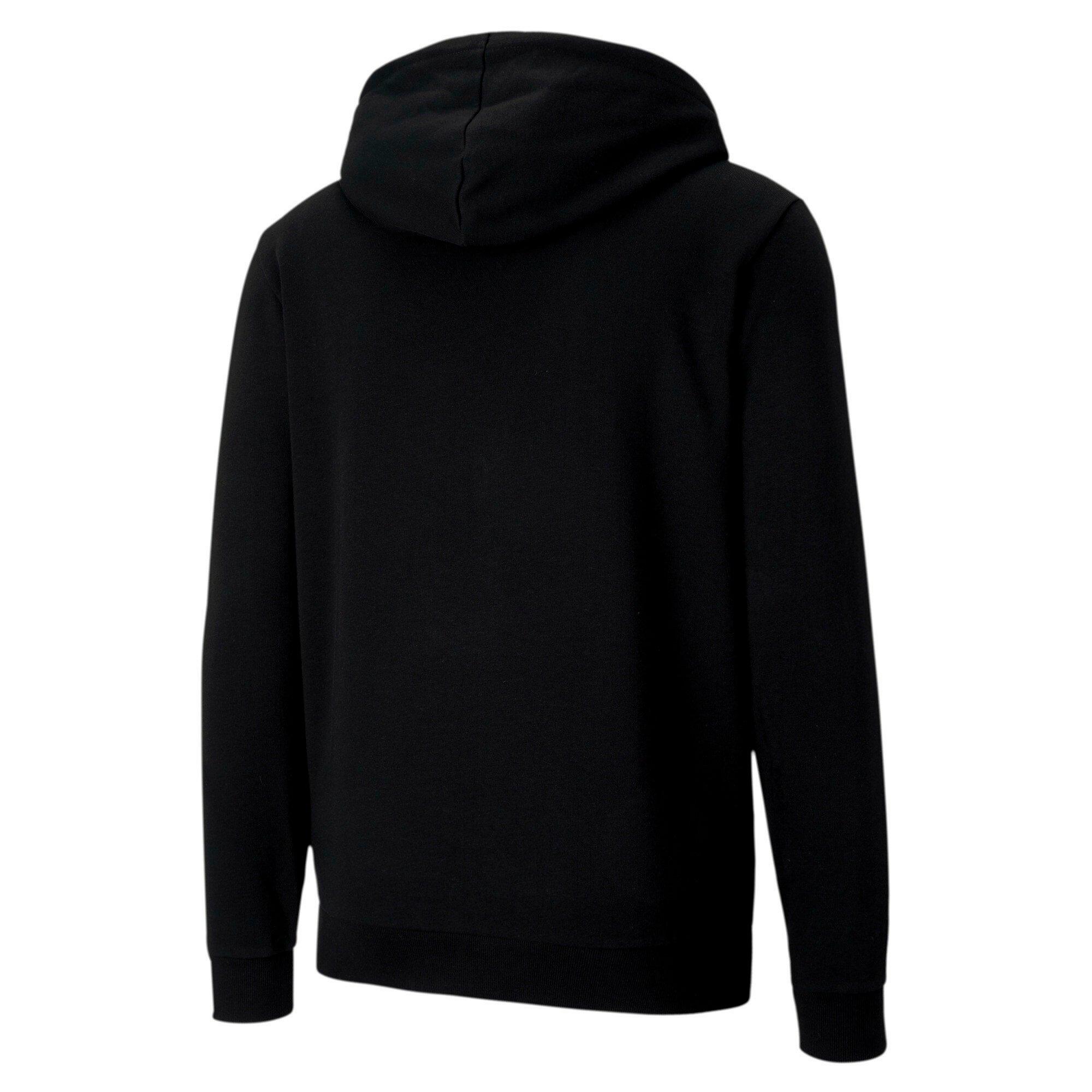 PUMA  Sweatshirt à capuche  team Goal 23 Casuals 