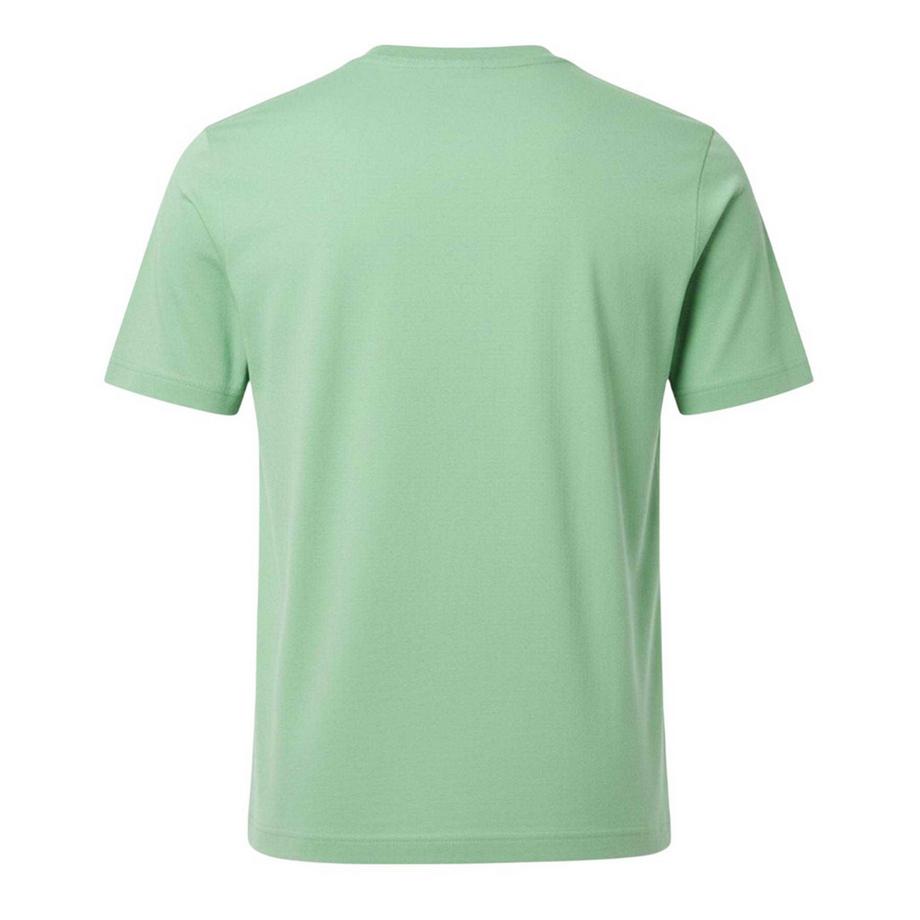 LACOSTE T-Shirt Logo Brodé  