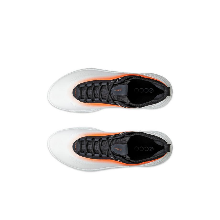 ecco Chaussures de golf Biom C5 sans crampons  