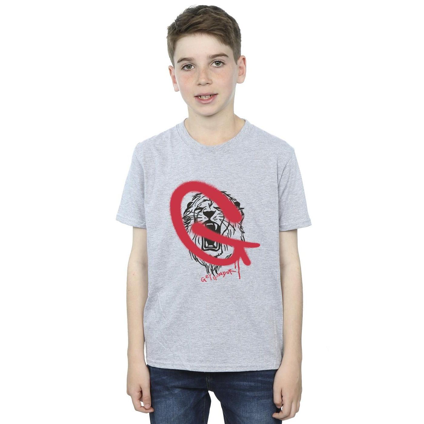 Harry Potter  Gryffindor TShirt 