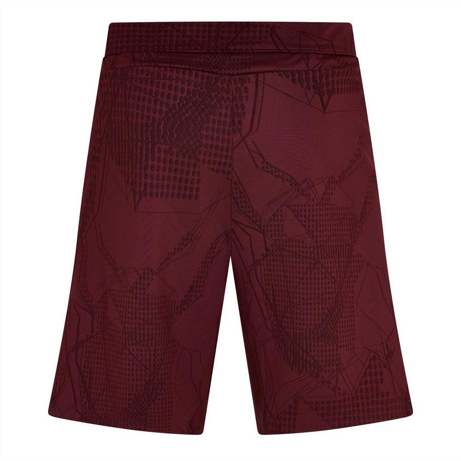 BOSS  Polo Hecon Desert Active 