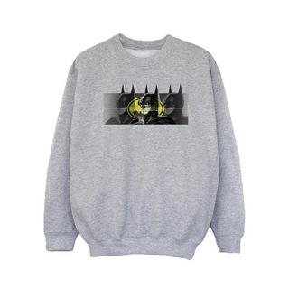 DC COMICS  Sweatshirt 
