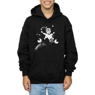 DC COMICS  Kapuzenpullover 