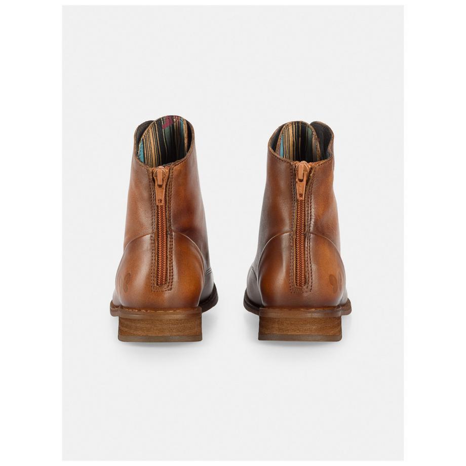 Felmini  Bottines BEJA 1072 