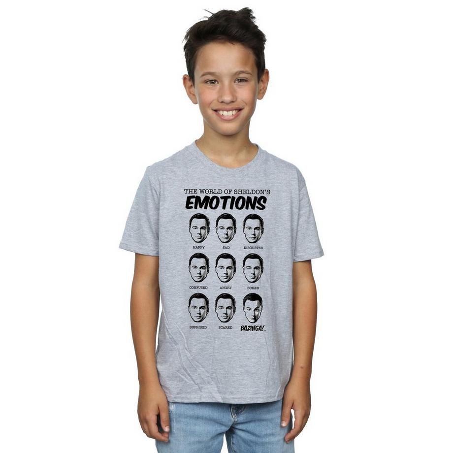 The Big Bang Theory  TShirt 