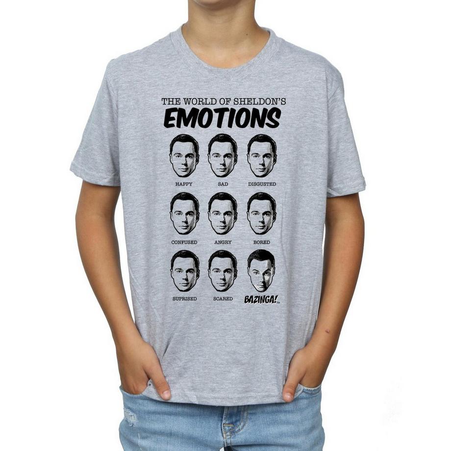 The Big Bang Theory  TShirt 