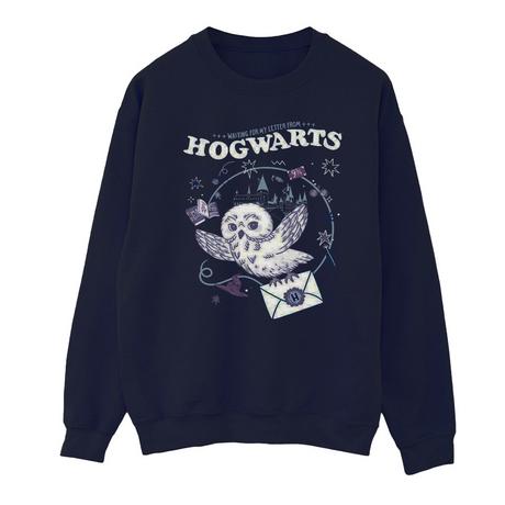 Harry Potter Letter From Hogwarts Sweatshirt  