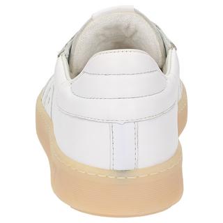 Sioux  Sneaker Tedroso-DA-713 