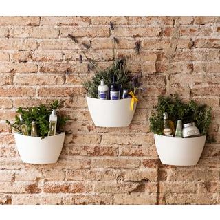 CitySens 3 Pack Wall Planters ; jardinière blanche  