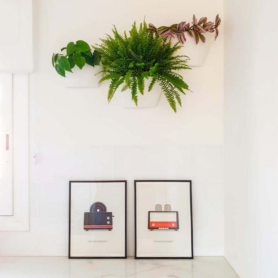 CitySens 3er-Pack Wand Pflanzengefäss  