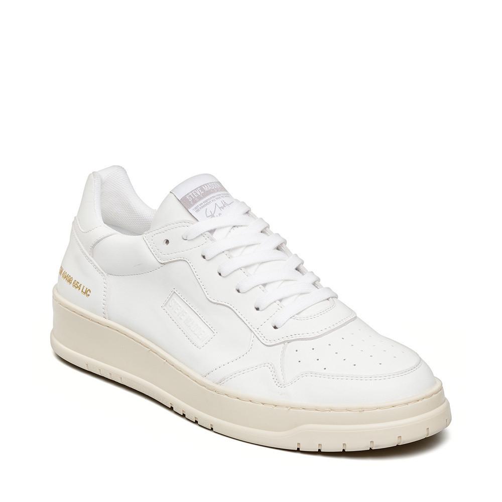 STEVE MADDEN  sneakers ace 