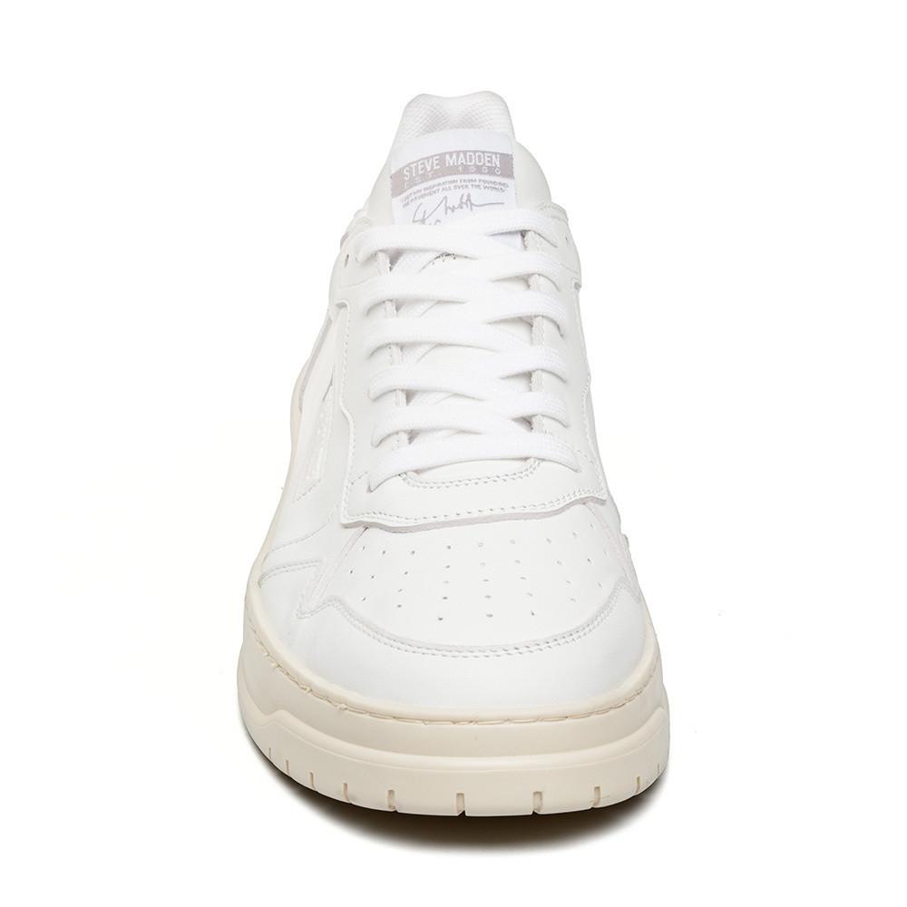 STEVE MADDEN  sneakers ace 