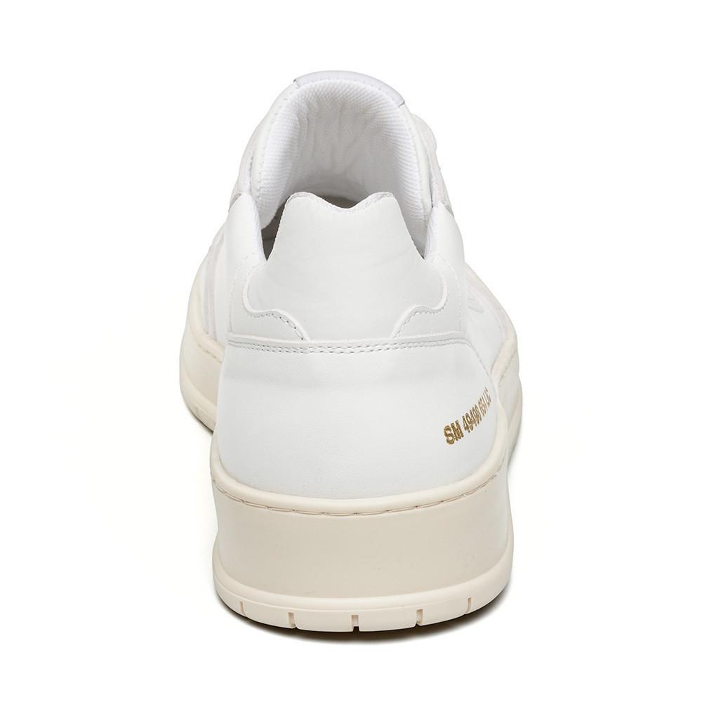 STEVE MADDEN  baskets ace 