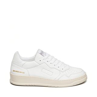 STEVE MADDEN  sneakers ace 