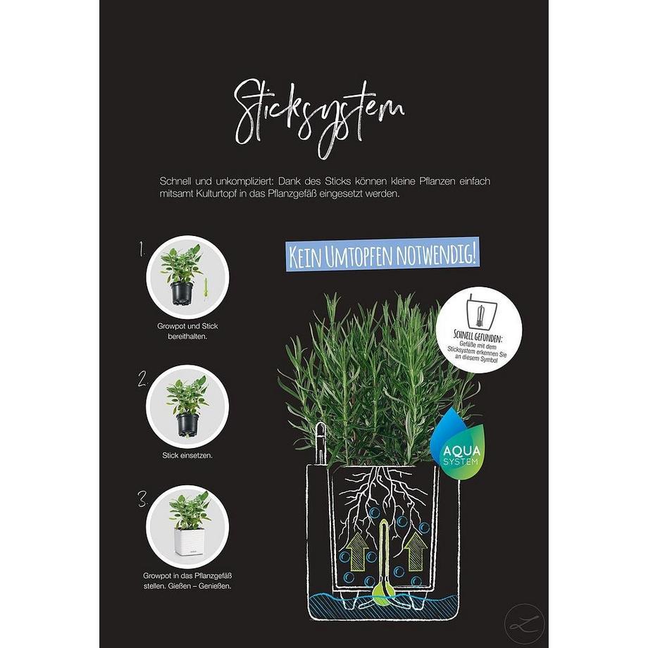 Lechuza CUBE Color all-in-one  