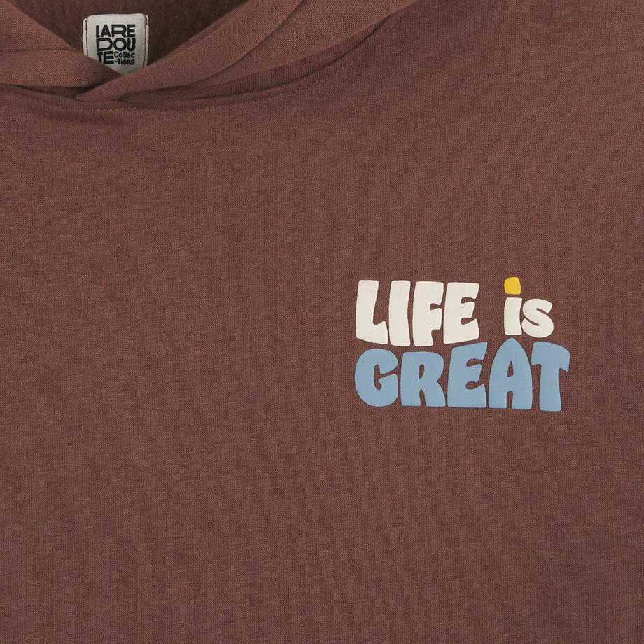 La Redoute Collections  Sweat imprimé oversize à capuche 