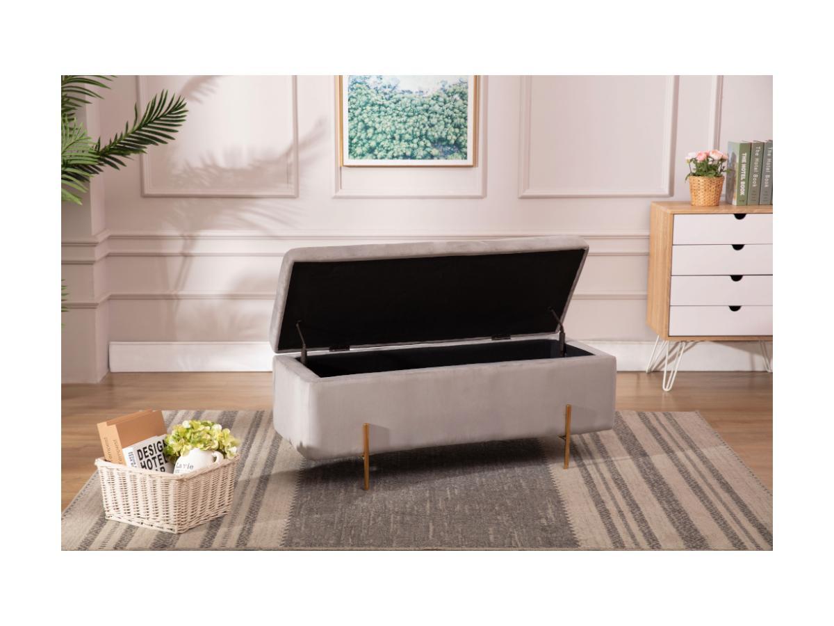 Vente-unique Sitzbank Sitztruhe HERVE Samt  