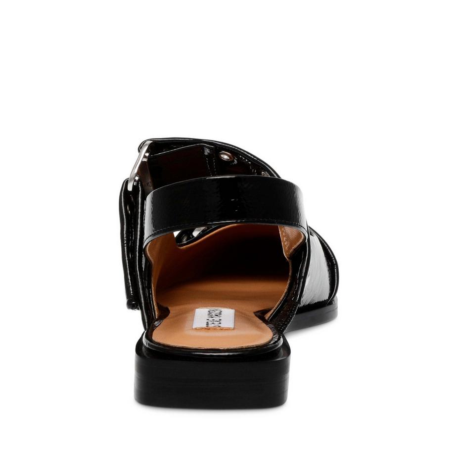 STEVE MADDEN Grand Ave Ballerinas  