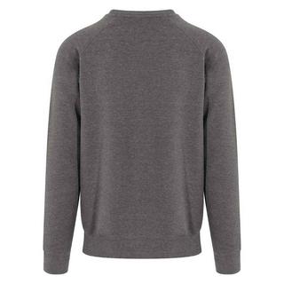 AWDis Graduate Sweatshirt  