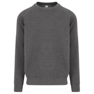 AWDis Graduate Sweatshirt  