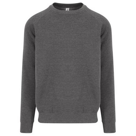 AWDis Graduate Sweatshirt  