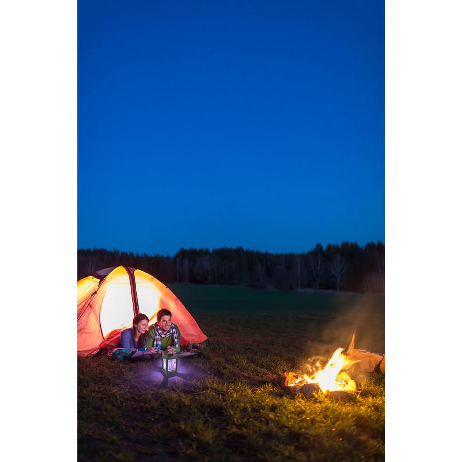 BEST DIRECT LAMP ZAPPER Piège à insectes électrique avec lumière UV  