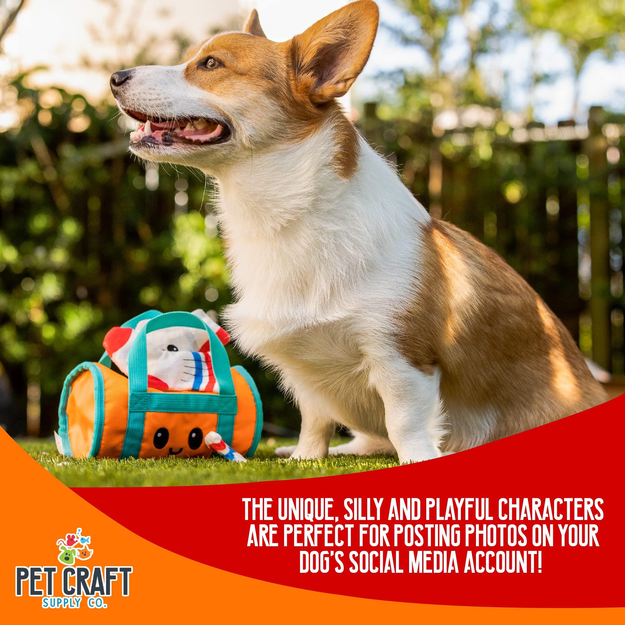 Activity-board  Versteckspiel Plüsch Hundespielzeug Knittern quietschendes interaktives Puzzle Kauen holen Leckereien Verstecken gehirnstimulierendes süßes lustiges Spielzeug 