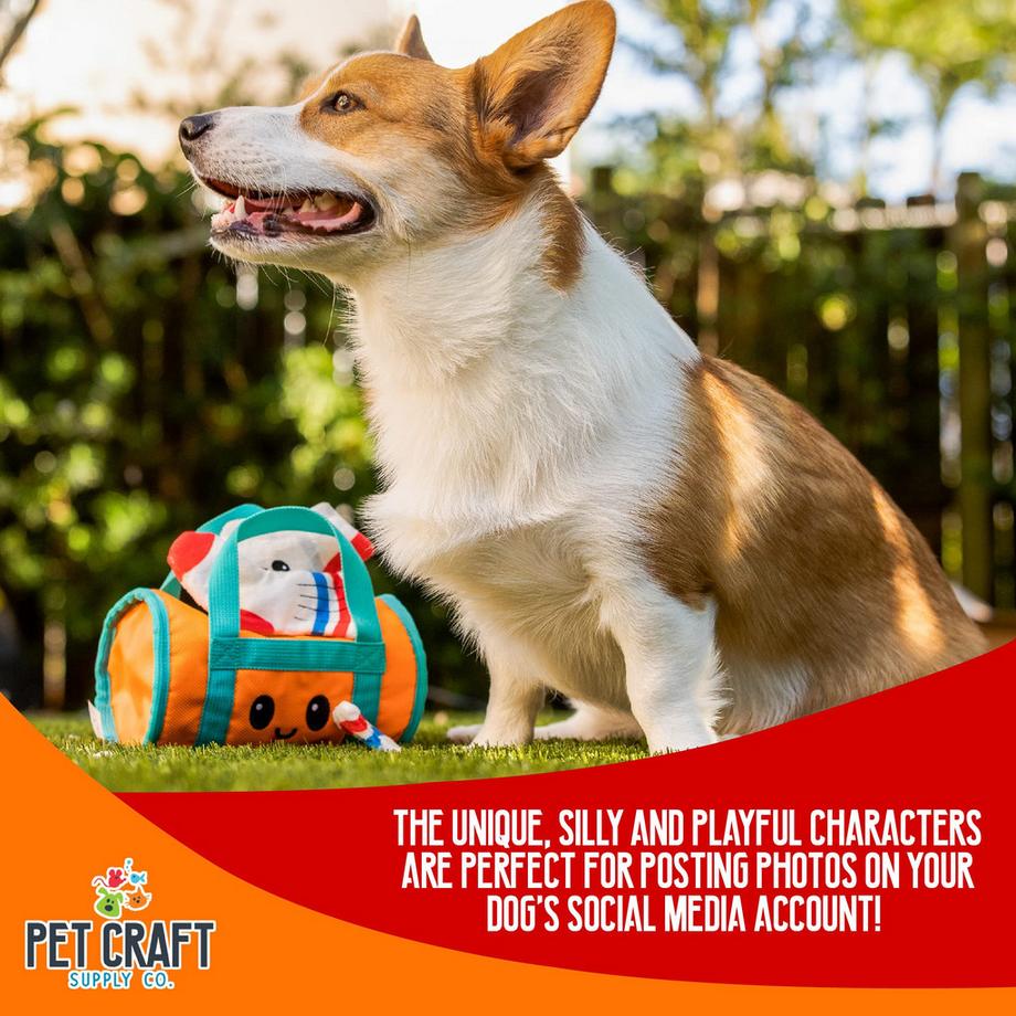 Activity-board  Cache-cache En Peluche Jouet pour Chien Froissé Grinçant Puzzle Interactif Mâcher Chercher des Friandises Cacher Stimulant le Cerveau Jouet Drôle Mignon 