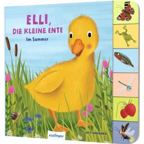 Mein erstes Jahreszeitenbuch: Elli, die kleine Ente Kiel, Anja; Barnard, Lucy (Illustrationen) Gebundene Ausgabe 