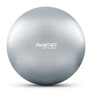 Northix  Trainingsball 65 cm NS-951 Silber 