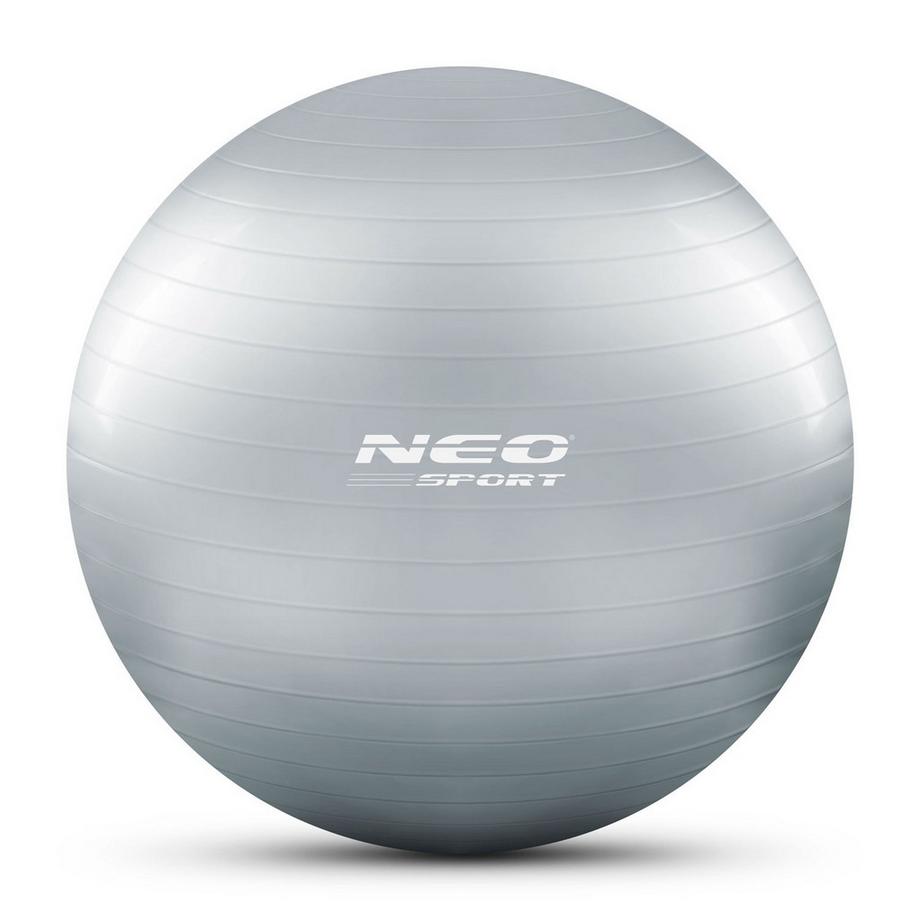 Northix  Trainingsball 65 cm NS-951 Silber 