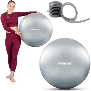 Northix  Trainingsball 65 cm NS-951 Silber 