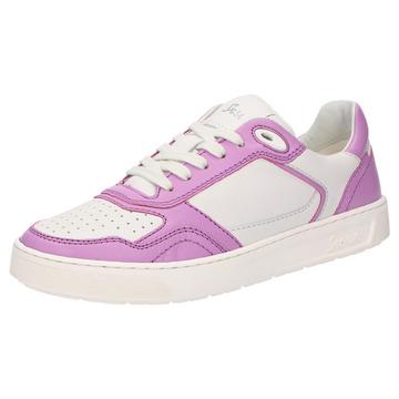 Sneaker Tedroso-DA-700