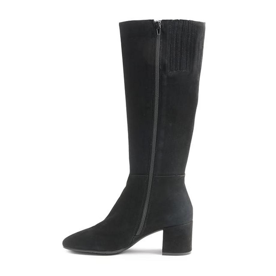 Ralph Harrison  Melania-36 