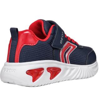 GEOX  Sneaker Assister B.C 