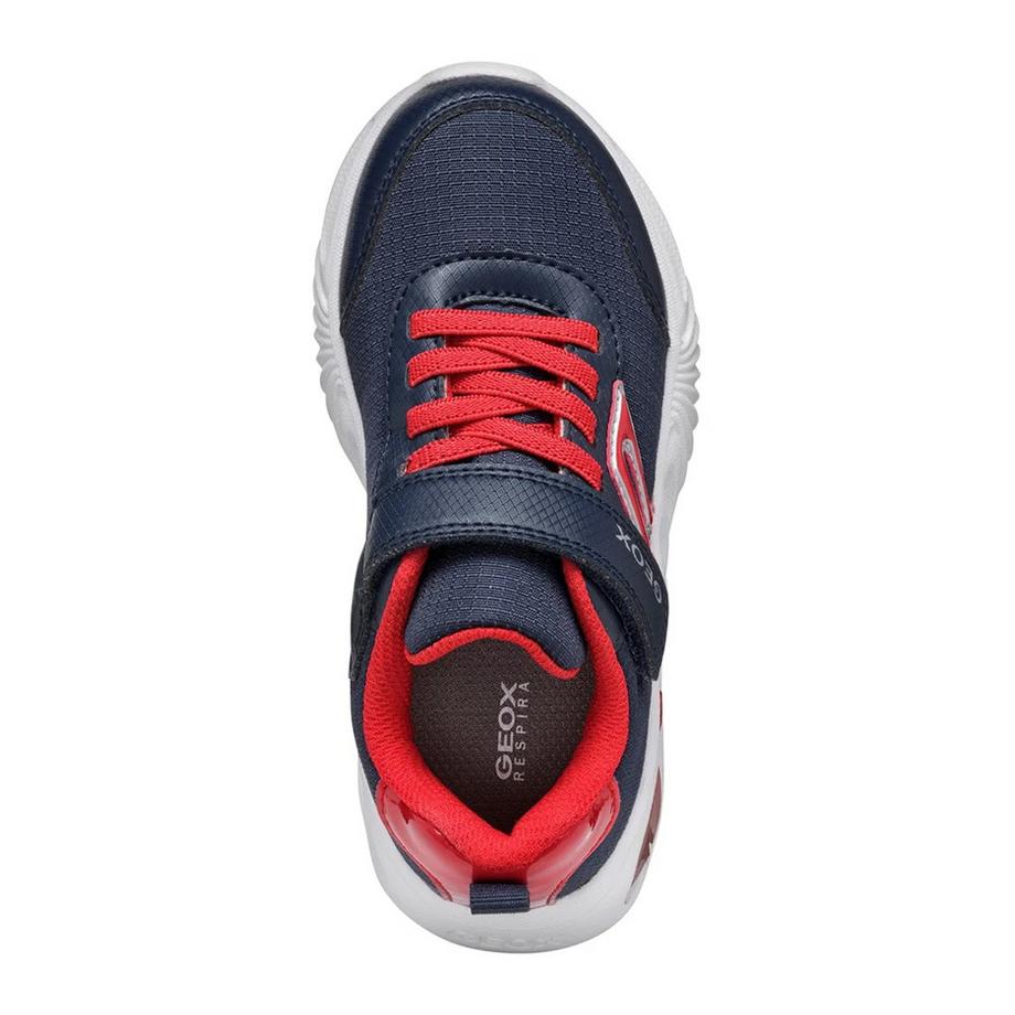GEOX Assister B.C. Sneakers  