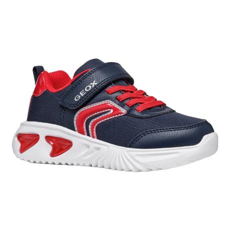 GEOX  Sneaker Assister B.C 