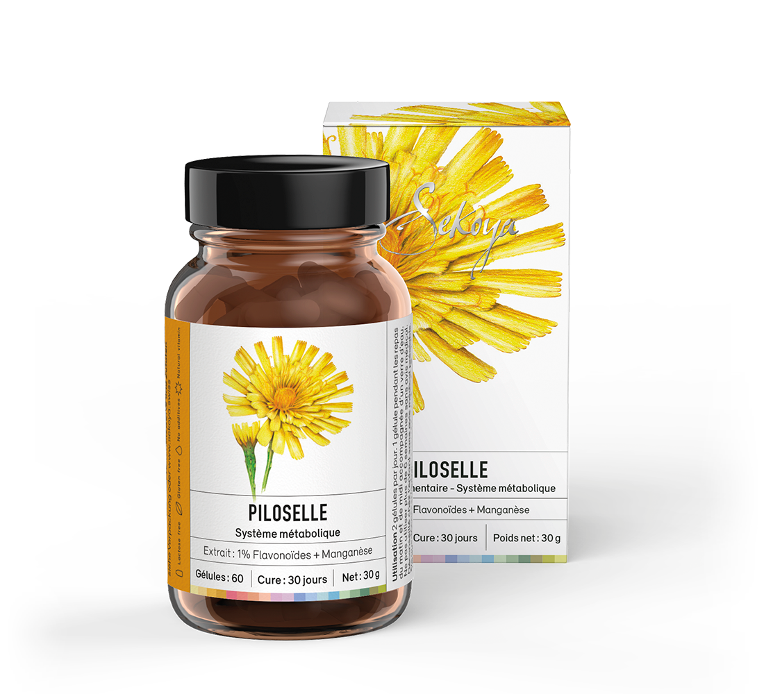 Sekoya Swiss  Habichtskraut | Ergänzung bei Wassereinlagerungen 