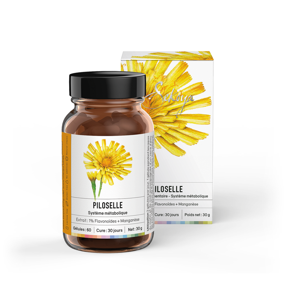 Sekoya Swiss  Habichtskraut | Ergänzung bei Wassereinlagerungen 