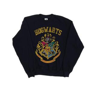 Harry Potter  Hogwarts Sweatshirt 