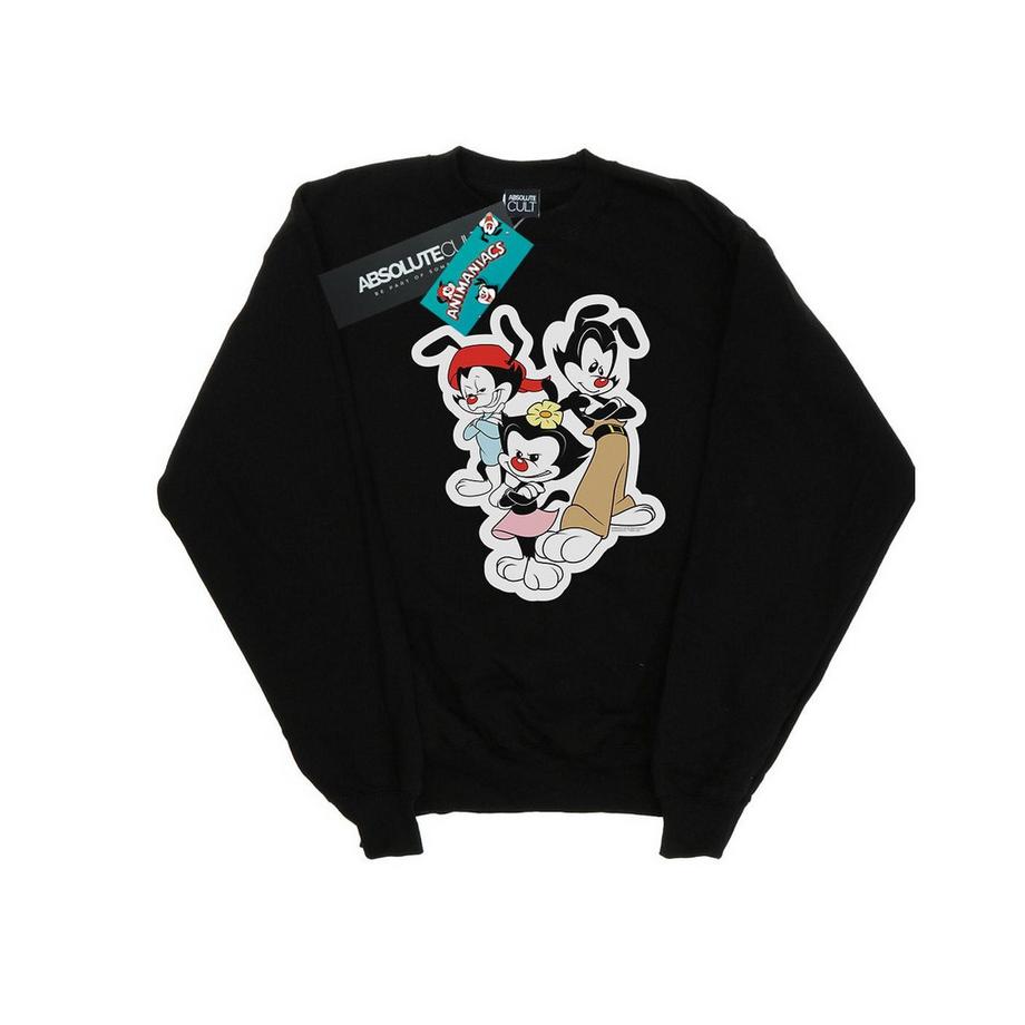Animaniacs Yakko Wakko and Dot Sweatshirt  