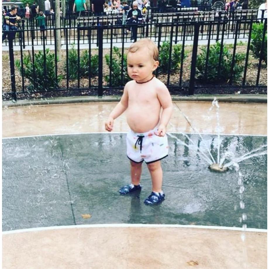 Palm Beachies  Dinosaure 