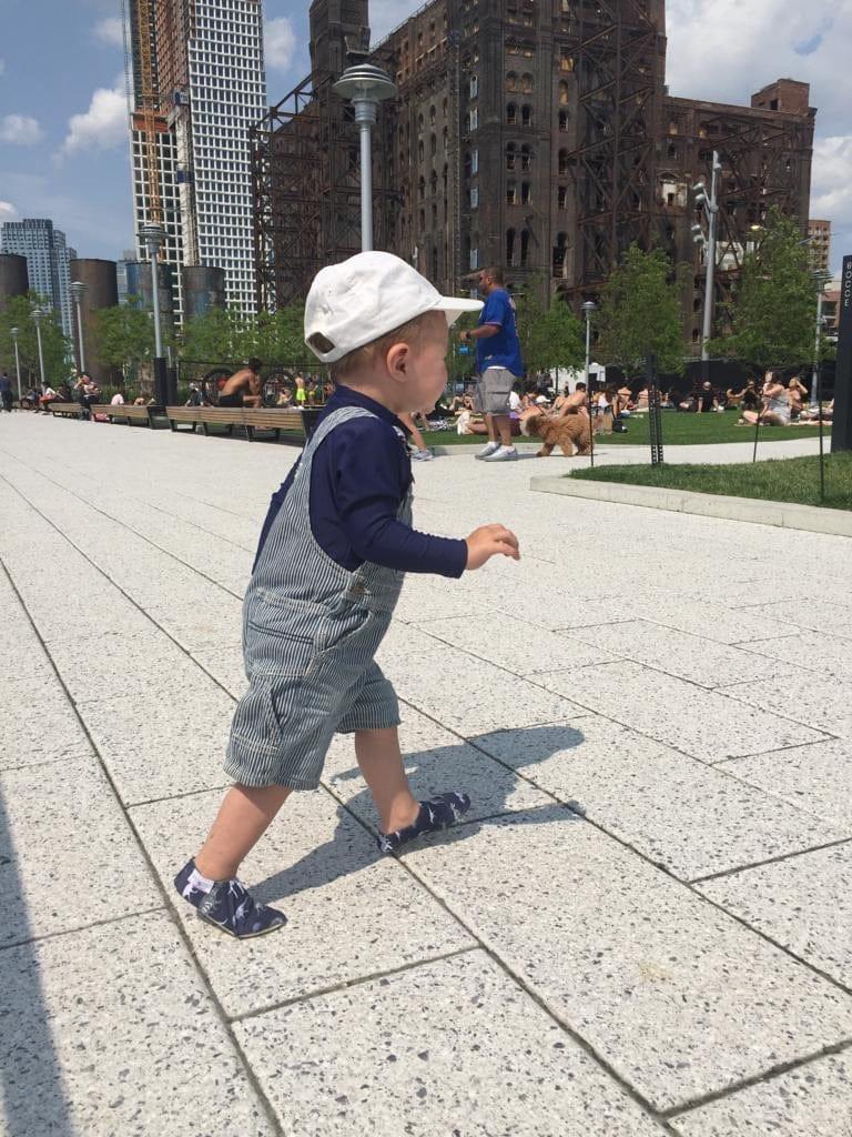 Palm Beachies  Dinosaure 