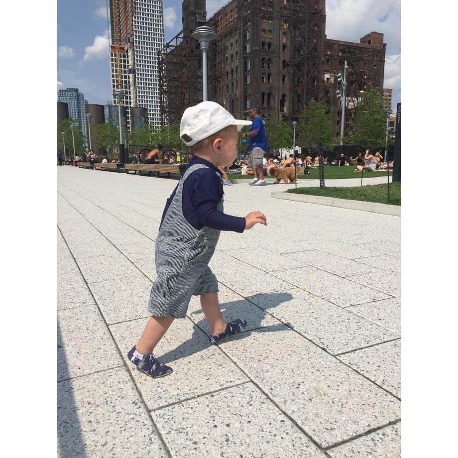 Palm Beachies  Dinosaure 