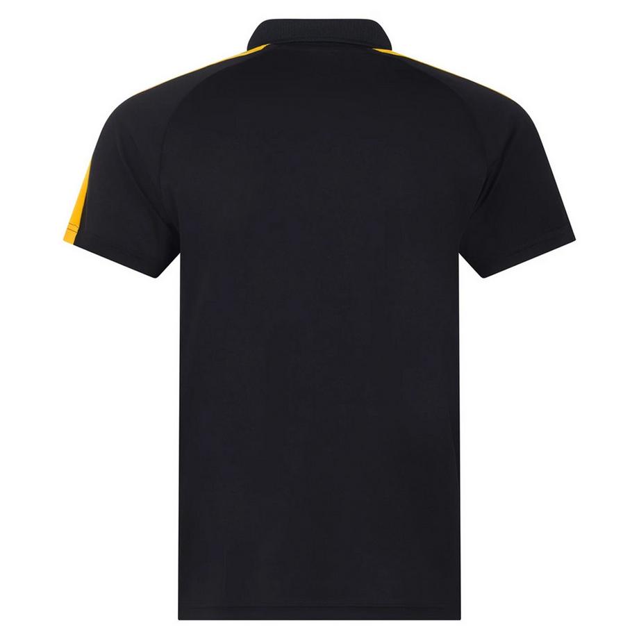 Finden & Hales Polo Team  