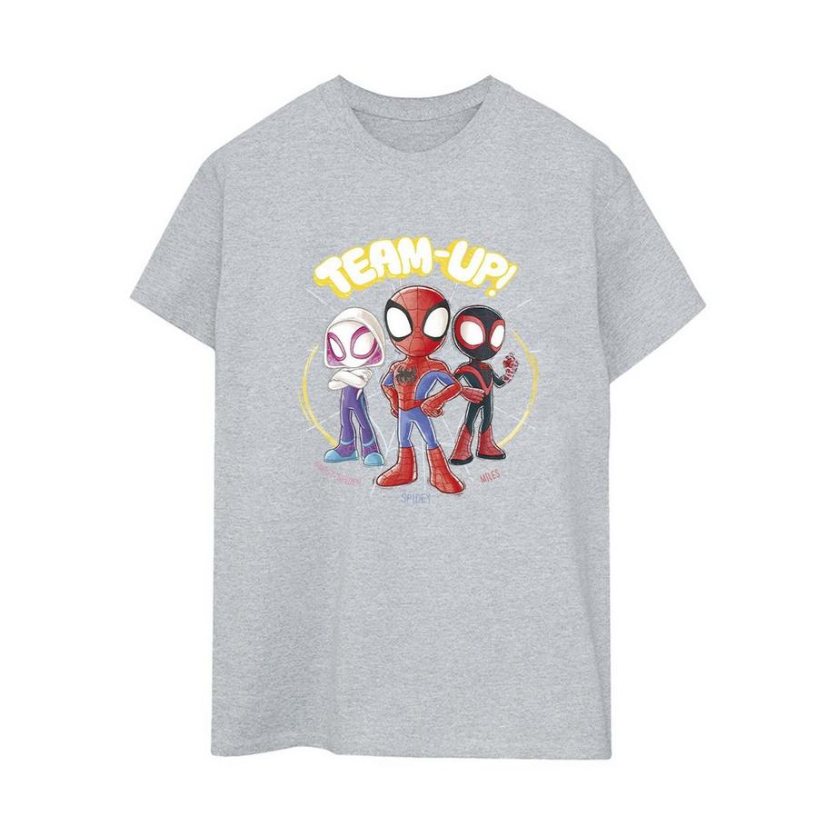 T-ShirtSpidey And His Amazing Friends